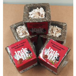 LITTLE ONE Smaczna, mała miseczka z traw łąkowych z pasternakiem 65g